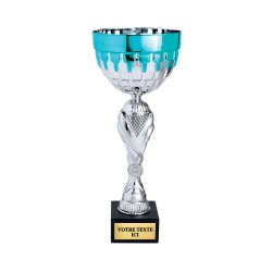 COUPE CLASSIQUE ARGENT BLEU